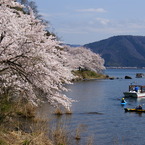 色々な花見