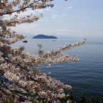 竹生島を望む