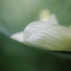 眠る君の横顔に　口づけを。。