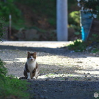 早く来なさいよ！