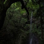 清水の軌跡！