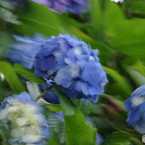 強風に振り回されて