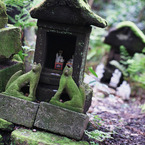 きつね