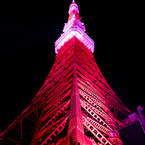 Pink ribbon in Tokyo tower 