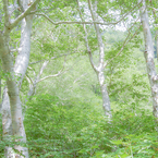 20080801