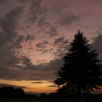 夕景