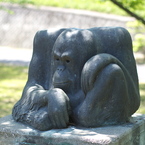 森の人