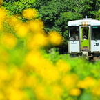 真夏の釜石線 I