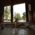 大仏殿入口にて