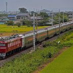 EF81-80