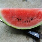 食べてみるよ！