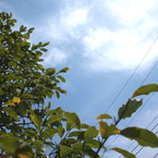 P4030517