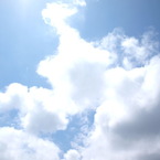 P5150727