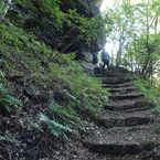 参道を登る　　DSC02930