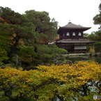 銀閣寺574