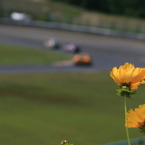スプーンに咲く花