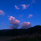 赤蕎麦の夜明けⅡ