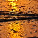 ripple