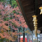 高野山　3
