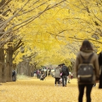 autumn for tokyoites