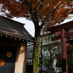 東京四谷の須賀神社様