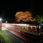 二ノ瀬の駅に行き交う一瞬の光