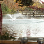 井の頭恩賜公園13