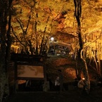 香嵐渓の紅葉ライトアップ（2）
