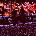 必ず今夜なら・・・言えそうな気がした