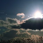 - Eternally   #2 -
