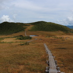 湿原と木道３