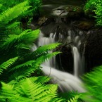 白糸の滝 軽井沢, Karuizawa Shira Ito no Taki