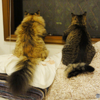 Chiko&Fuku