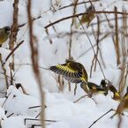 きれいでしょ？　　 DSC_2920