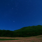 赤蕎麦の夜
