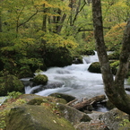 十和田湖　奥入瀬渓流の紅葉