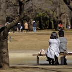 寄り添って見るその先は