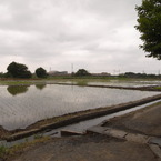 R0012311