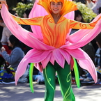TDL