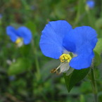 RIMG0064