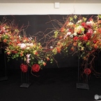 花の展覧会14