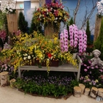 花の展覧会19
