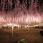 ライトアップなう