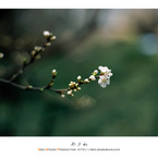 Film Vol.01