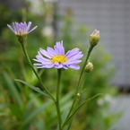 P1000787