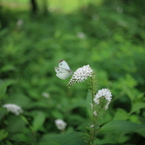 201006300114