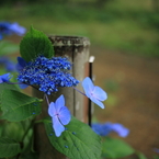 201006300119