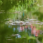 春の池