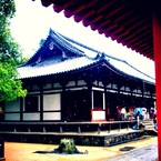 雨の日の日差しを浴びる