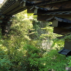 初夏の猿橋と桂川6